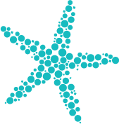 star-logo